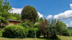 Gîte de la Viguerie — photo 3